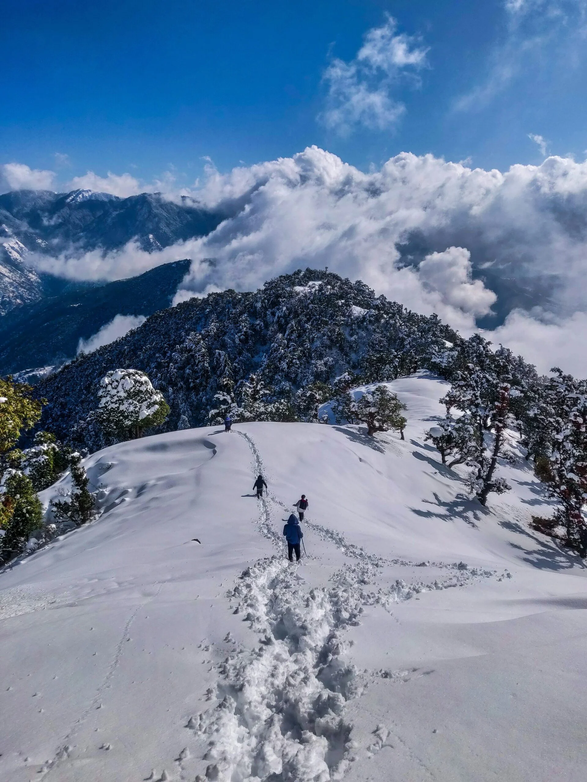 tungnath winter